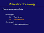  Molecular epidemiology