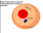 Areas of intervention
