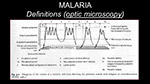 Malaria