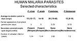 Human malaria