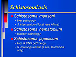 Schistosomiasis