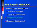 The parasitic Helminths