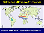 Distribution