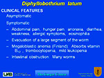 Diphyllobothrium latum