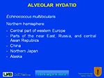 Alveolar Hydatid