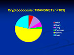  Cryptococcosis 