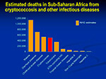 Estimated deaths