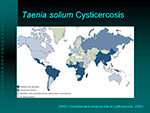 Taenia solium