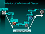 Evolution of Infection