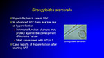 Strongyloides stercolaris