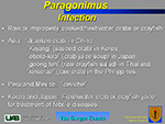  Paragonimus 