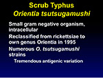 Scrub Typhus