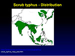  Scrub Typhus 