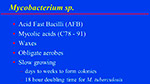 Mycobacterium sp