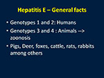 Hepatitis E