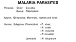 Malaria Parasites