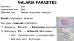 Malaria Parasites