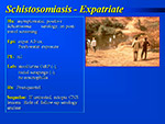 Schistosomiasis