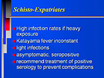 Schisto Expatriates